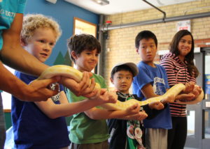 campers holding snake together