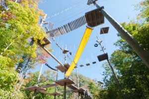 High ropes course view from ground
